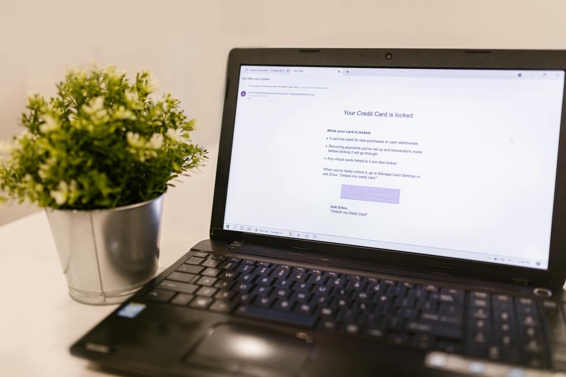 Ekran laptopa z komunikatem o bezpieczeństwie karty kredytowej obok rośliny